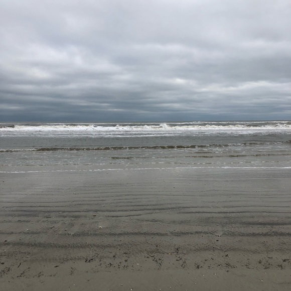 Meet your Posher, Sam - Picture 1 of 1